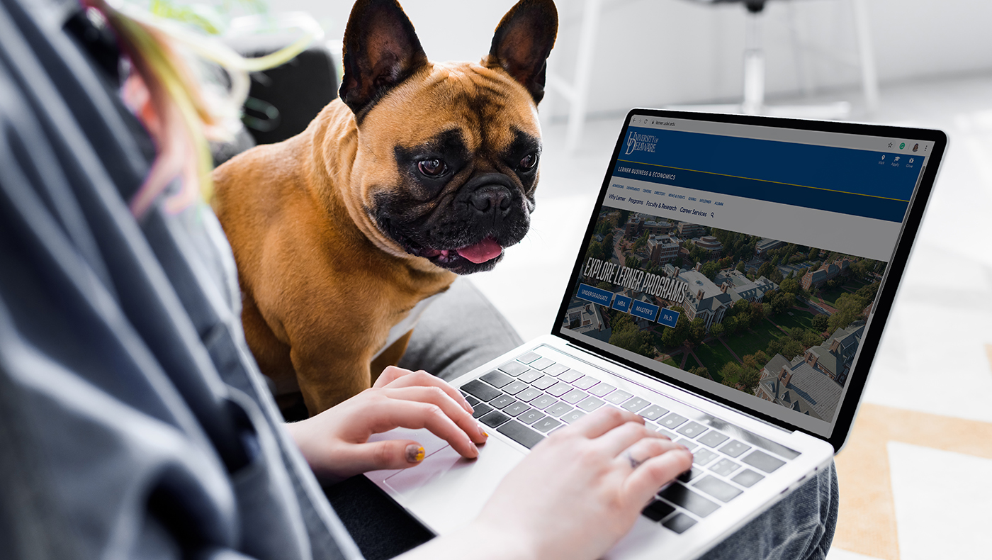 cropped view of cute bulldog sitting near girl using laptop